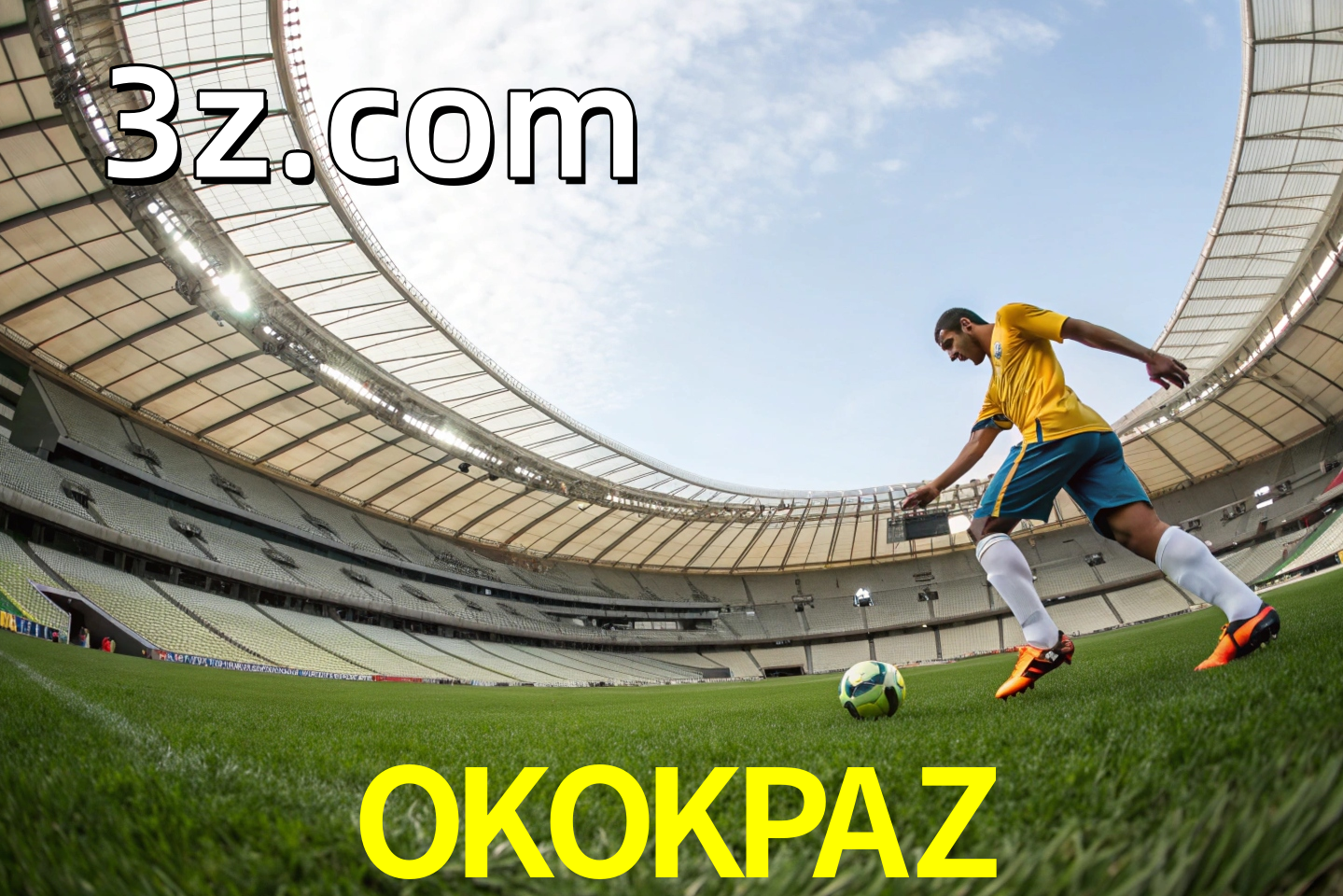 apostas esportivas
